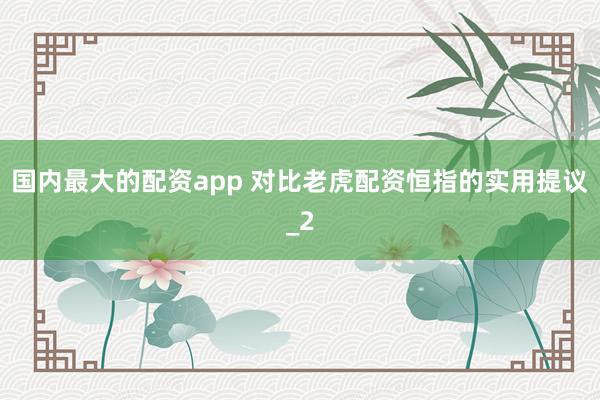 国内最大的配资app 对比老虎配资恒指的实用提议_2