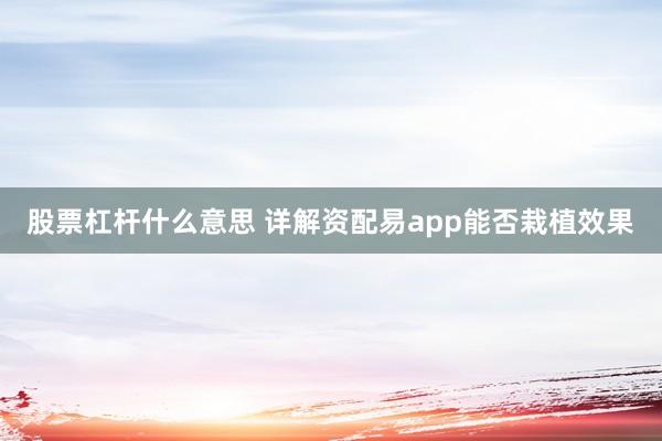 股票杠杆什么意思 详解资配易app能否栽植效果
